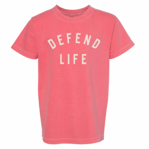 Defend Life Simple Arc Youth Tee Watermelon
