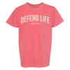 Defend Life Psalm 127 Youth Tee - Thumbnail Image 1