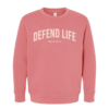 Defend Life Psalm 127:3 Sweatshirt - Thumbnail Image 1
