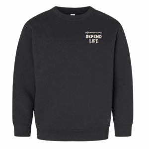 Defend Life Ephesians 6:11 Sword Sweatshirt